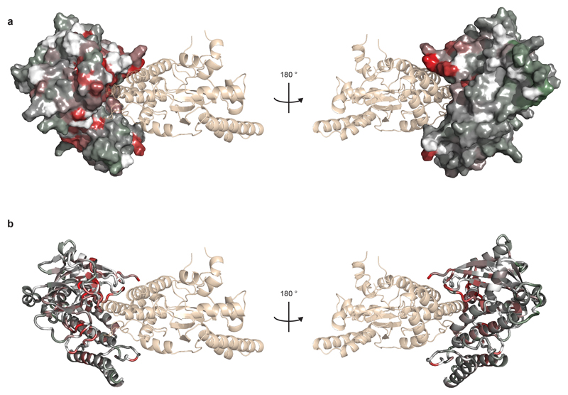 Extended Data Figure 8