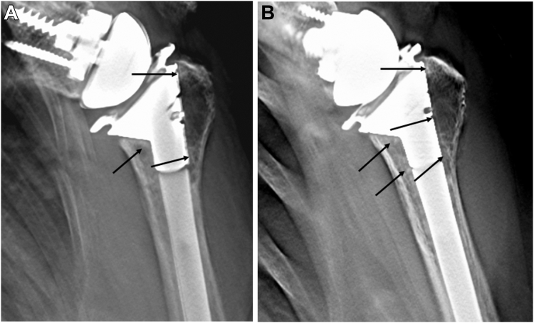 Figure 7