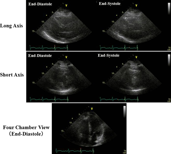 Figure 2