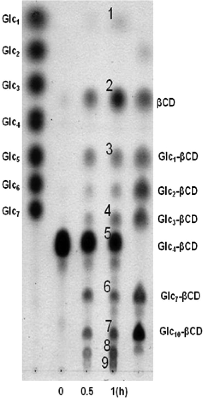FIG 1