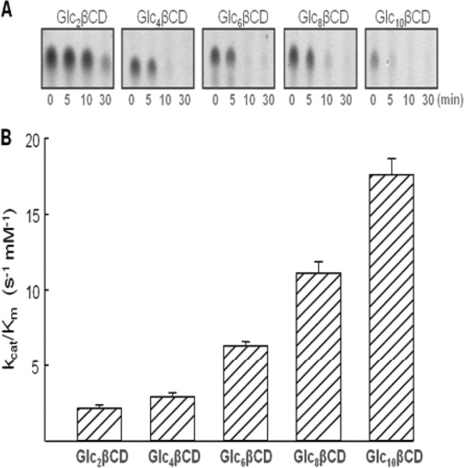FIG 6