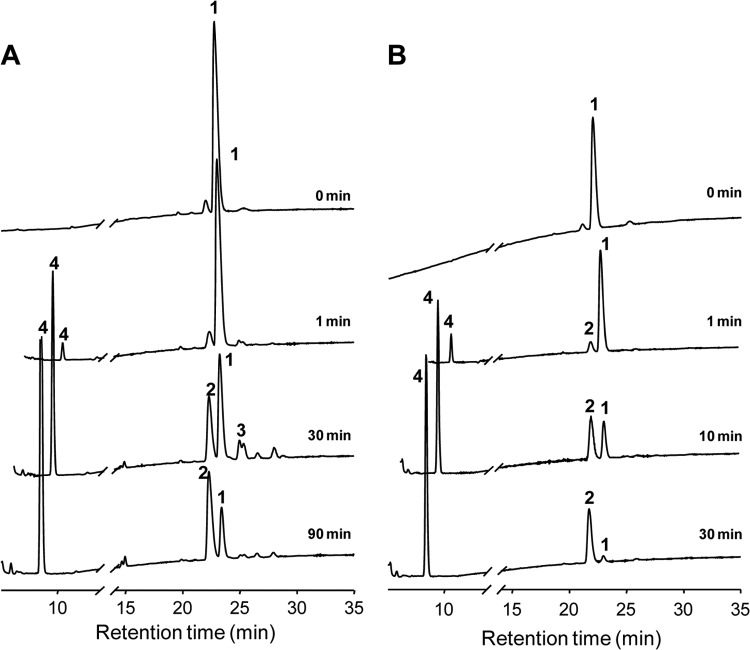 FIG 3