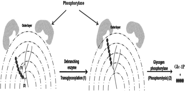 FIG 8
