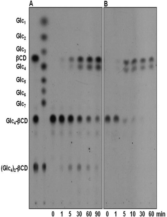 FIG 2