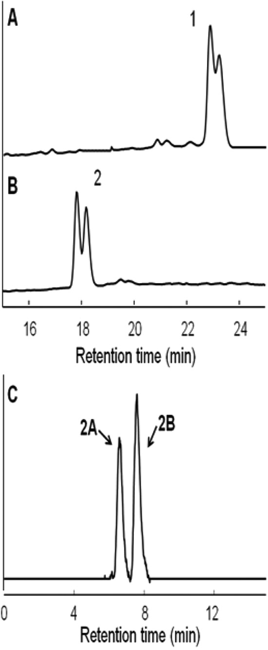 FIG 5