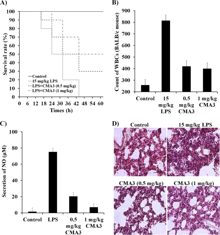 FIG 6