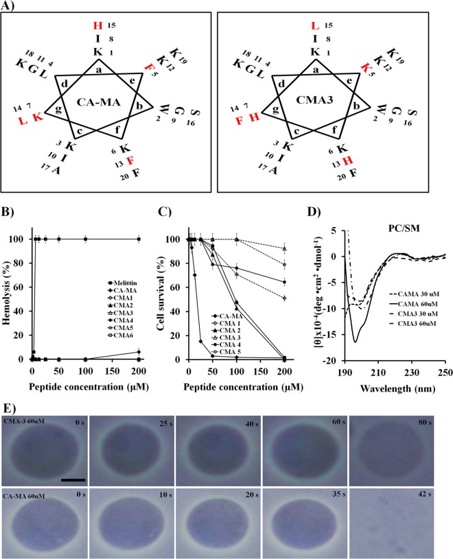 FIG 1