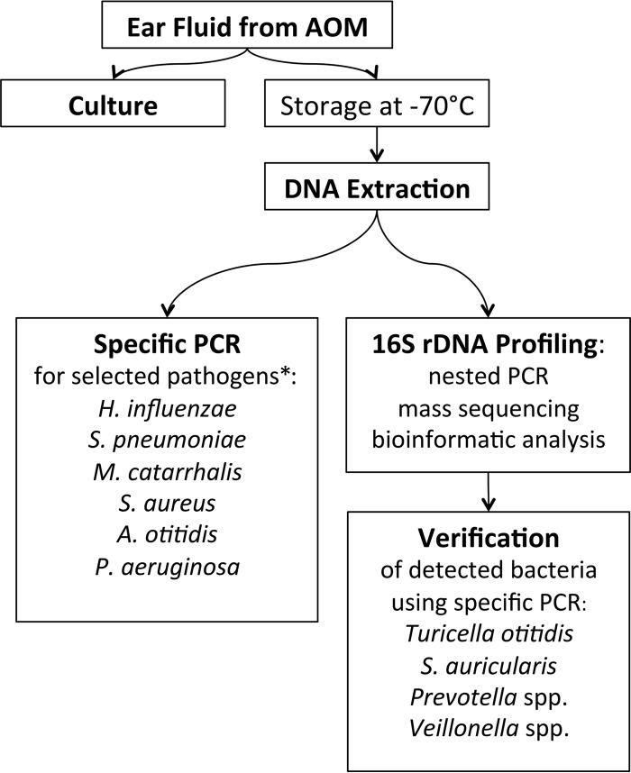 FIG 4 