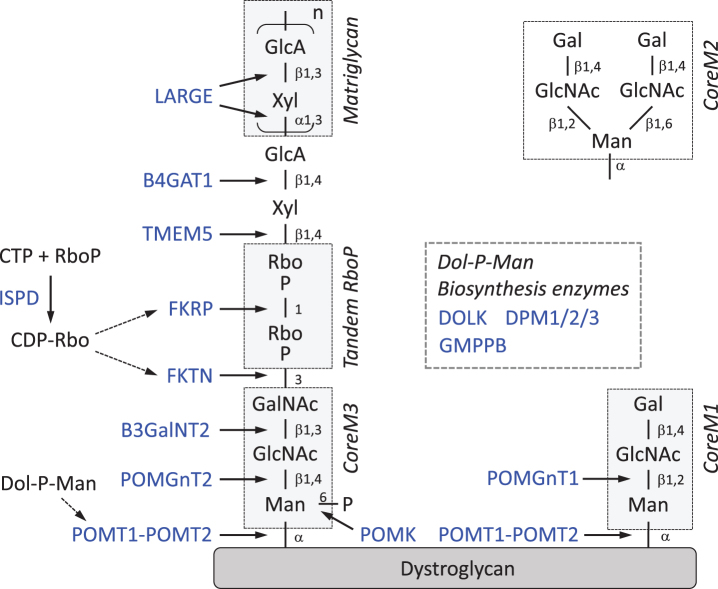 Fig.1