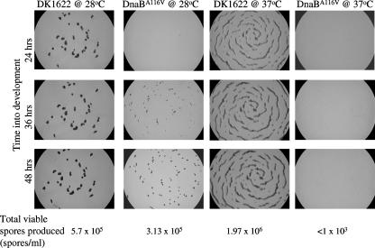 FIG. 5.