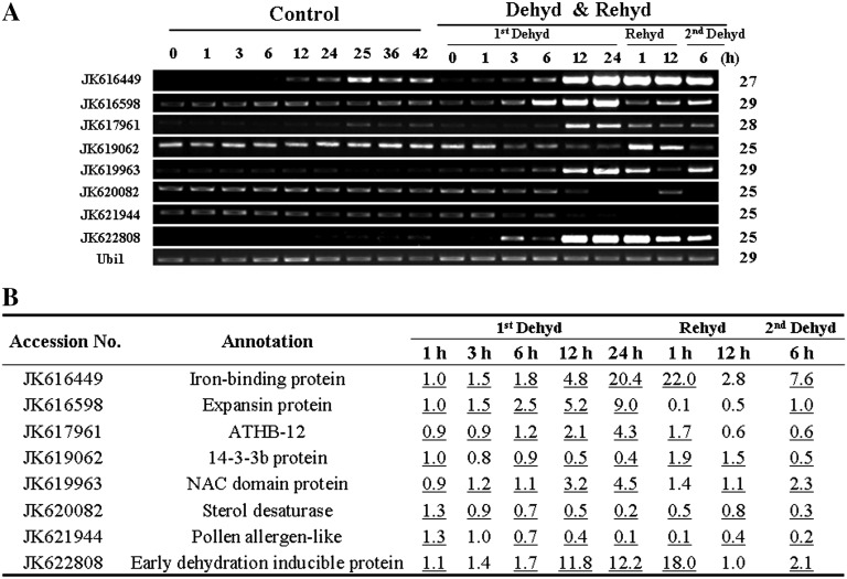 Figure 4.