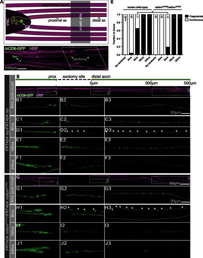 Figure 4.