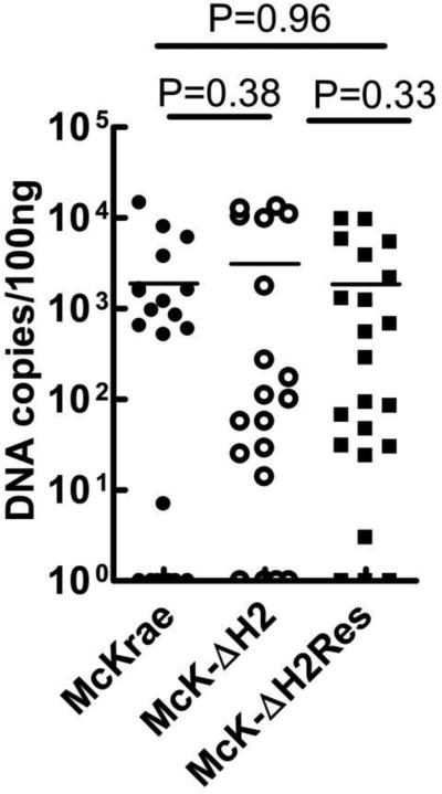 Fig. 10