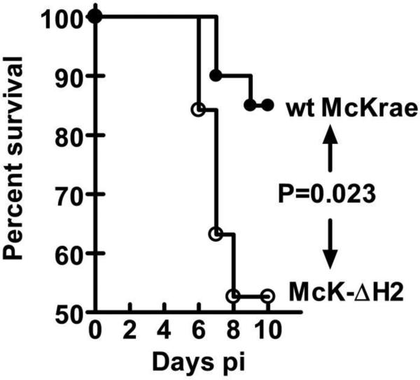 Fig. 8