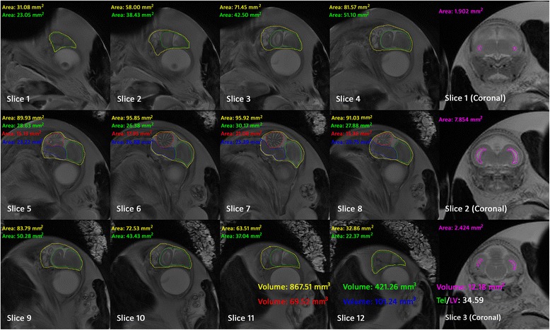 Fig. 4