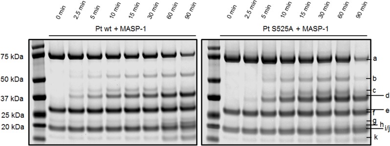 Fig 4