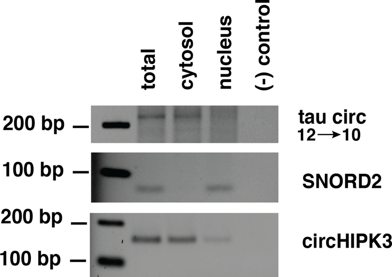 Figure 4: