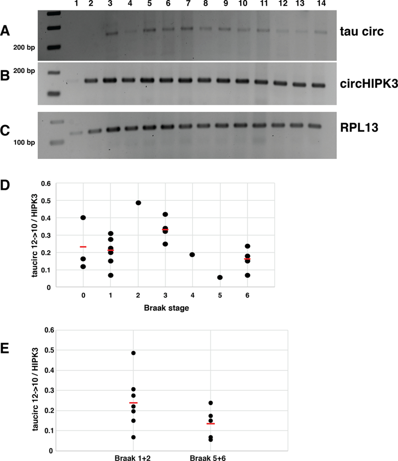 Figure 5: