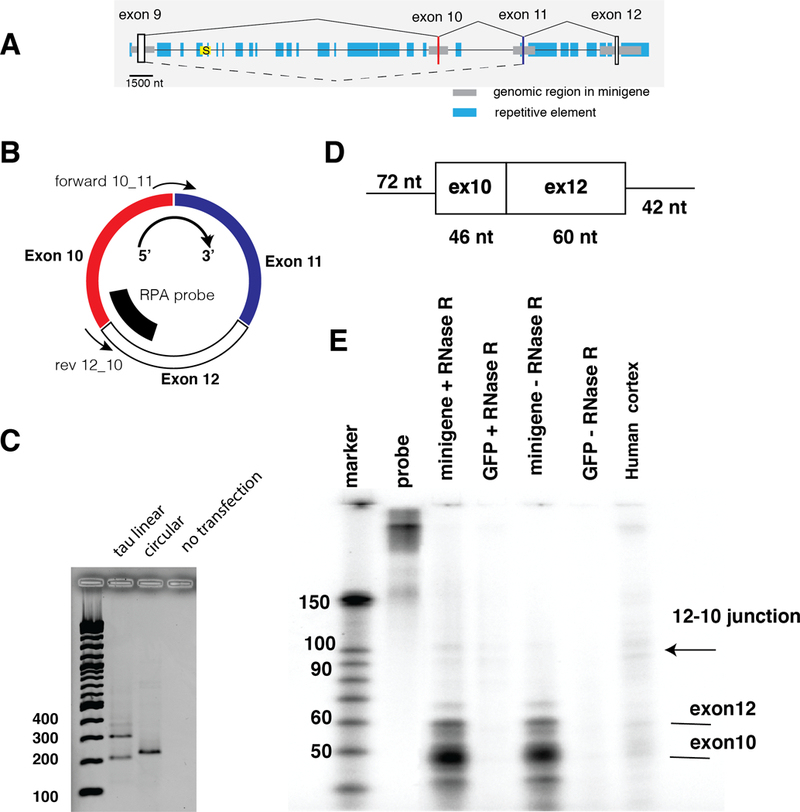 Figure 2: