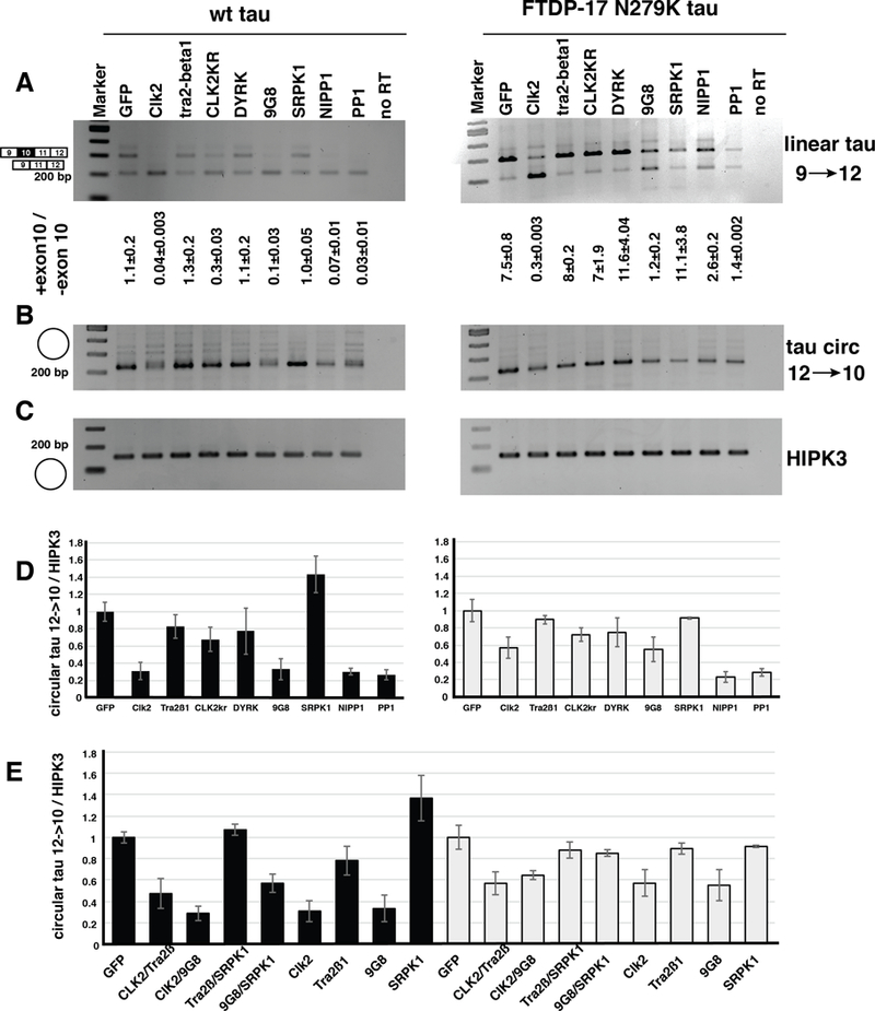 Figure 3: