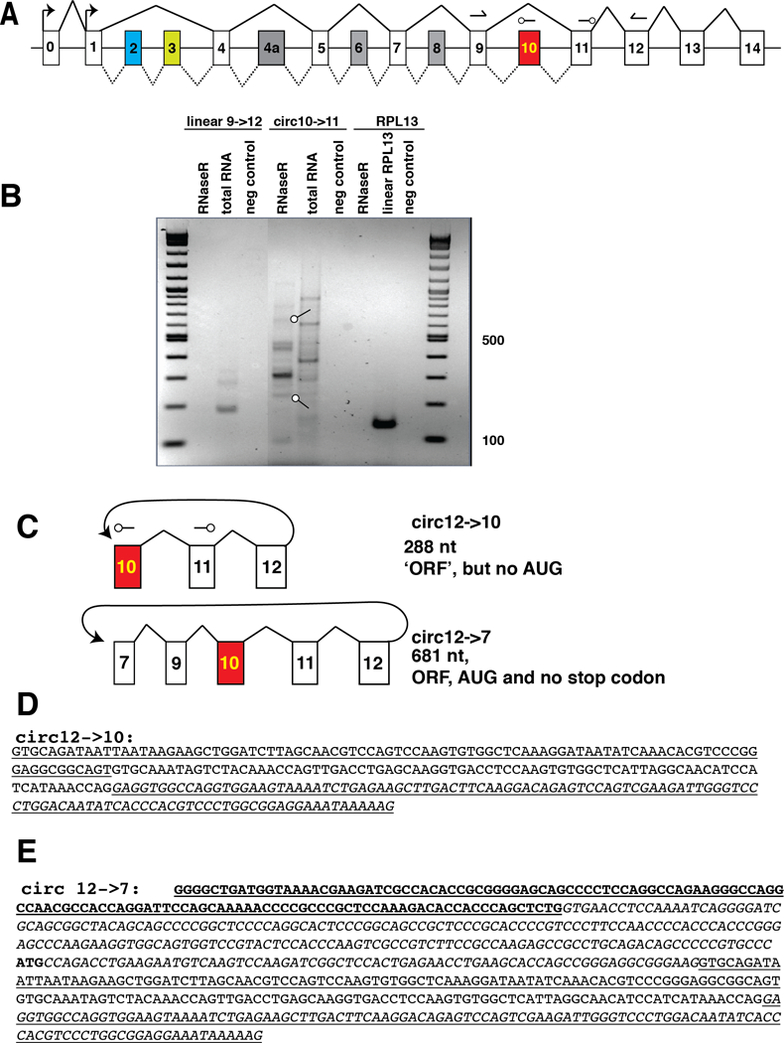 Figure 1: