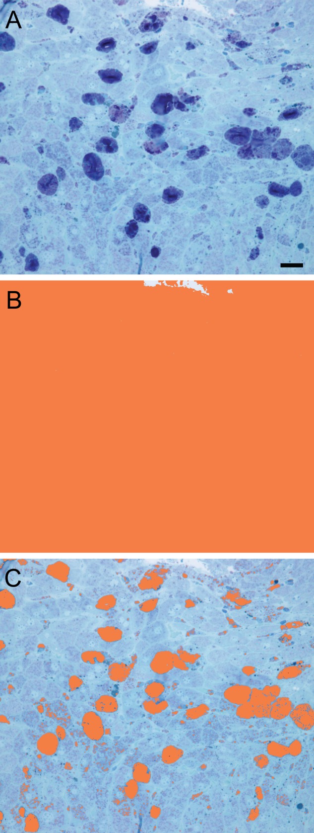 Figure 2.