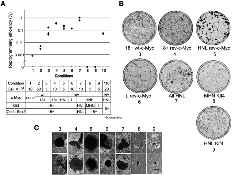 Fig. 2