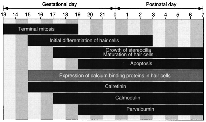 Fig. 9.