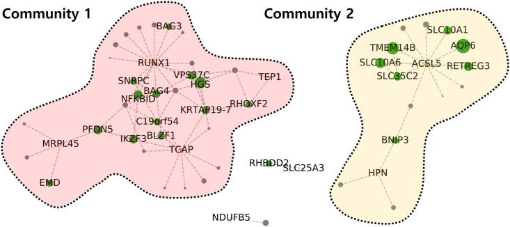 Figure 4