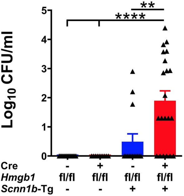 Figure 6