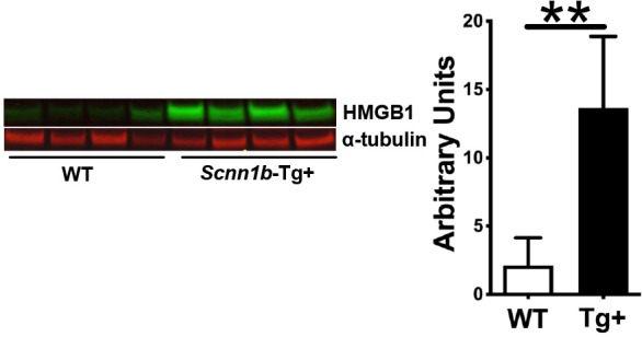 Figure 1