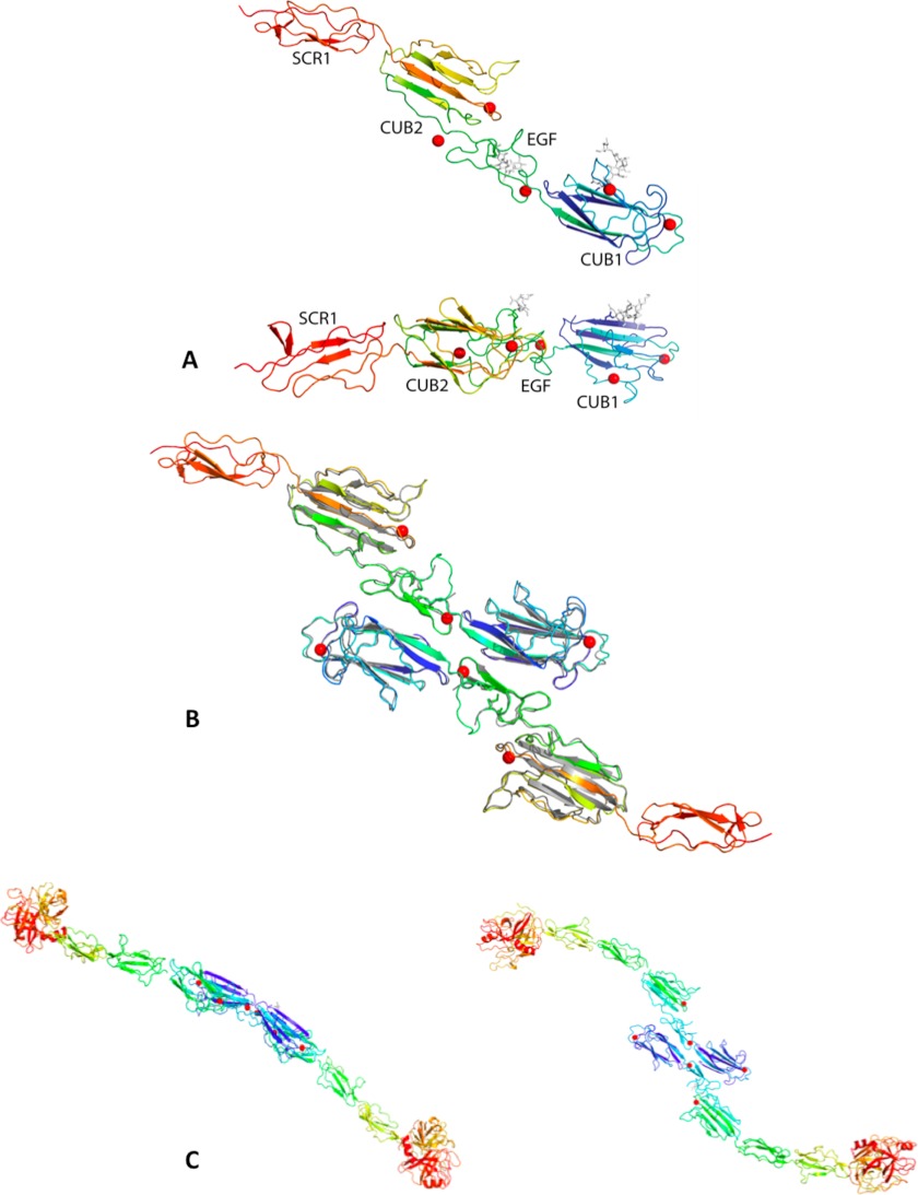 FIGURE 3.