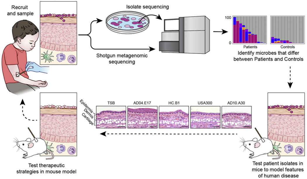 FIG 1.