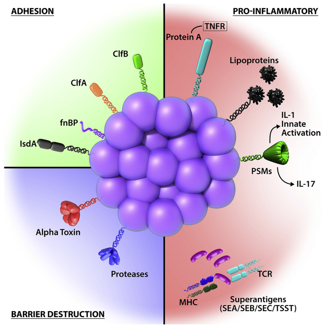 FIG 3.