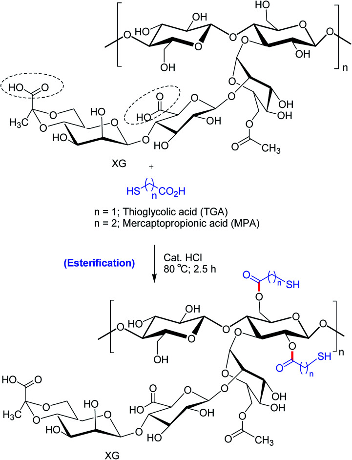 Fig. 10