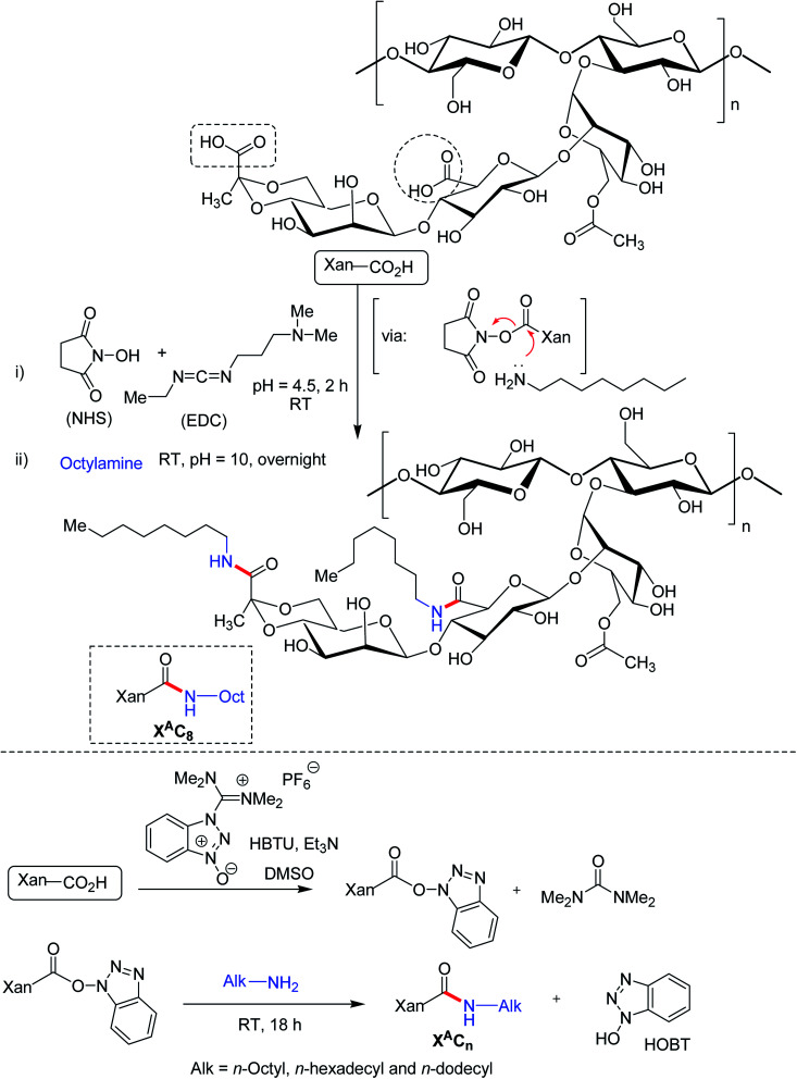 Fig. 12