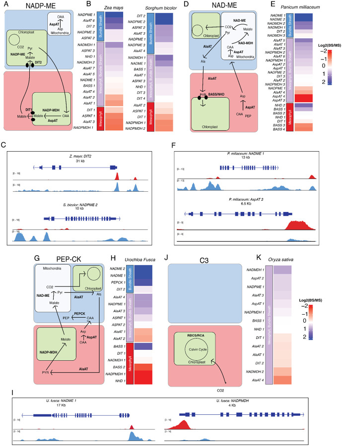 Figure 3:
