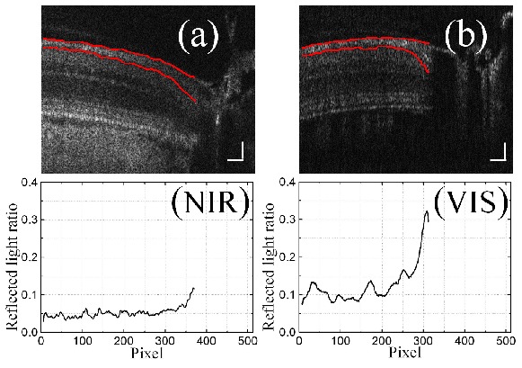 Fig. 7