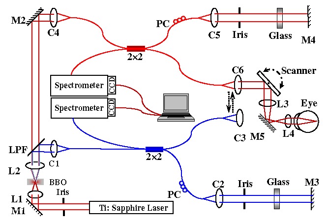 Fig. 1