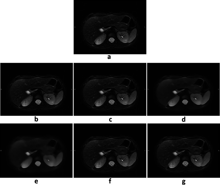 Fig. 5