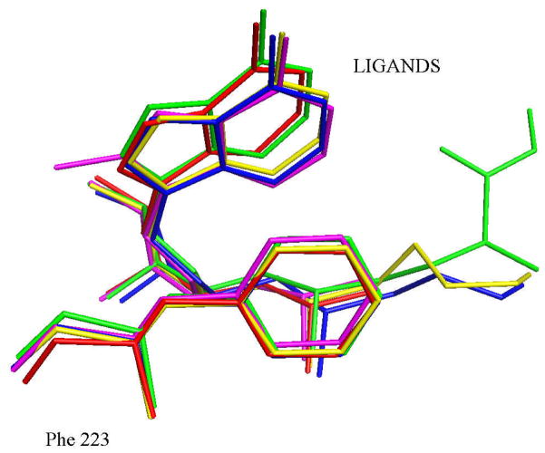 Figure 5