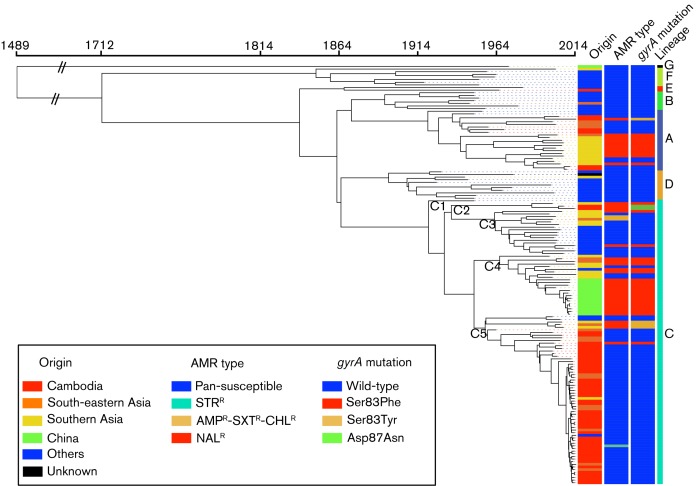 Fig. 2.