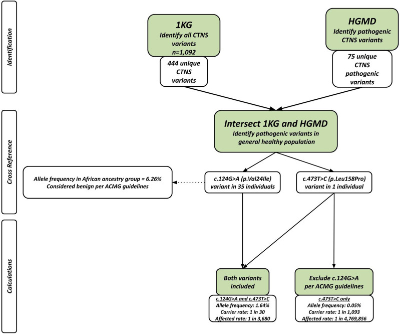 FIGURE 1