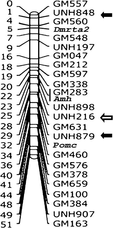 Figure 2.—