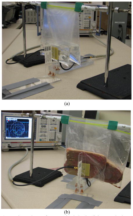 Fig. 6