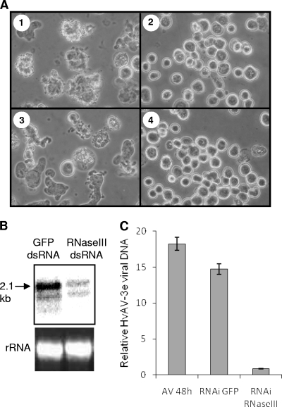 FIG. 6.