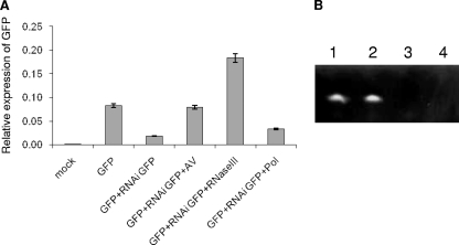 FIG. 7.