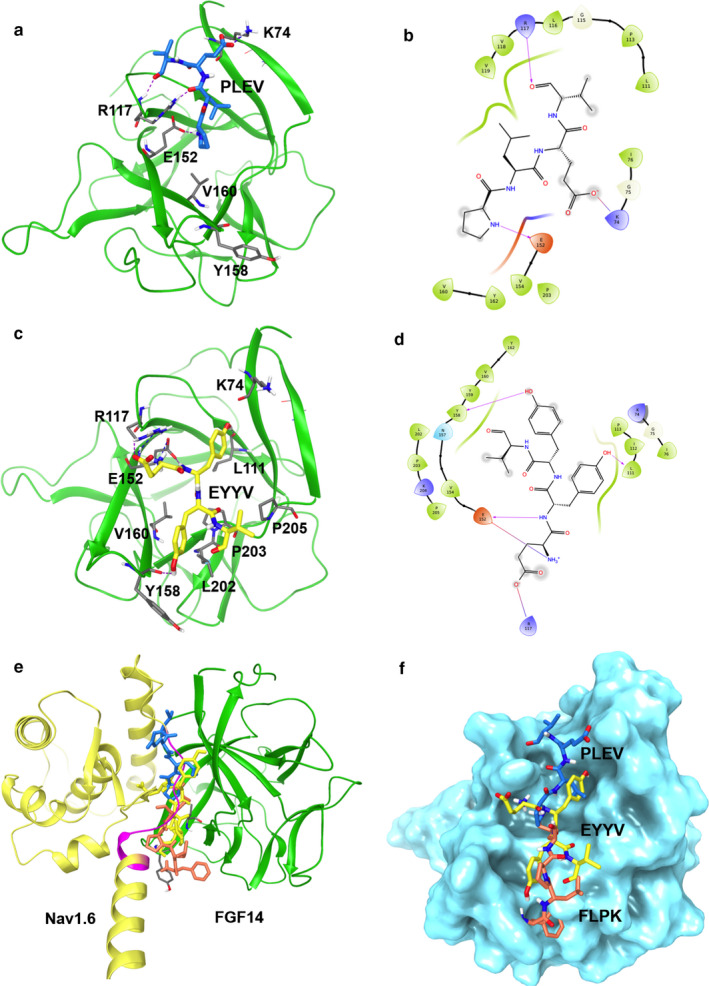 FIGURE 2