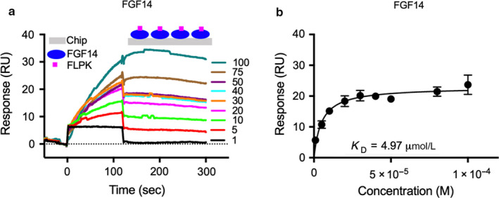 FIGURE 4