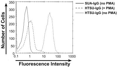 FIG. 6.